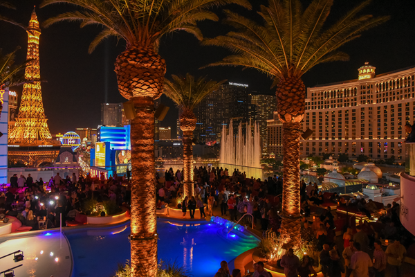 drais-01-600x400